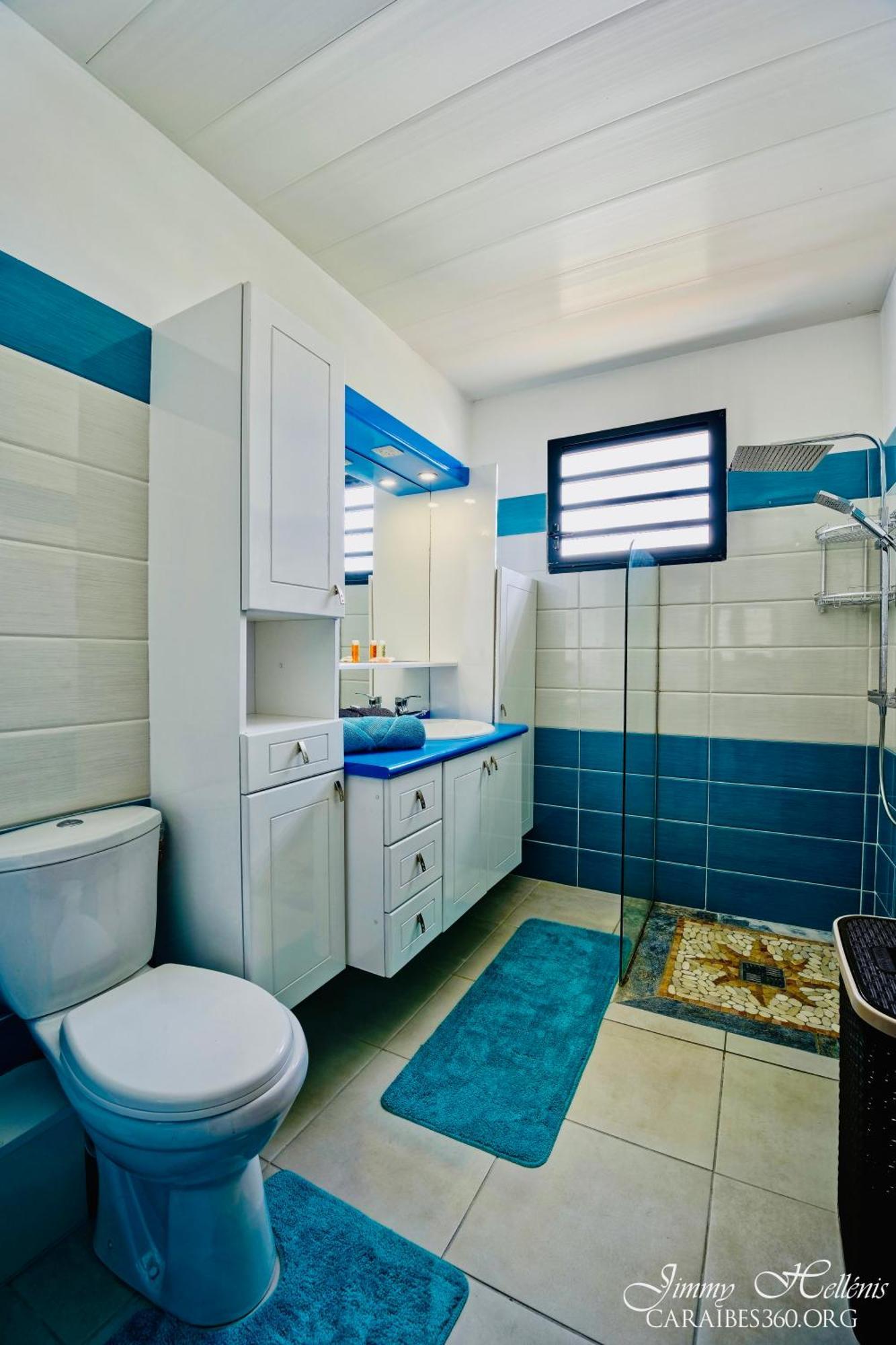 Villa T4 La Sagesse Ws - Piscine Privee Riviere-Salee ภายนอก รูปภาพ